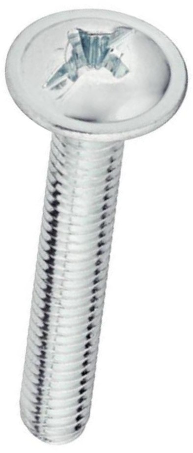 Šroub okrasný s límcem ZN